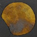 Iron_Pyrite_Sun in Matrix
