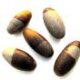 Shiva Lingham stones