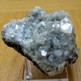 Apophyllite Clusters