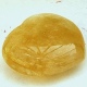 Calcite_Honey_Heart