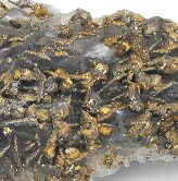 Chalcopyrite_on_Matrix