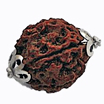 RudrakshaBeads
