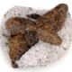Staurolite In Matrix