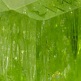 diopside