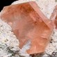 morganite2