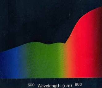 RGB_Colour_Prime_colours