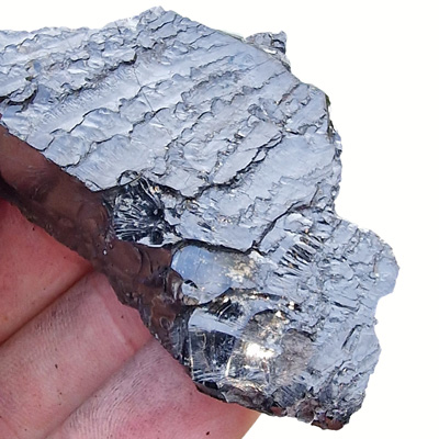 Elite Nobel Shungite