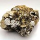Muscovite