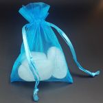 Turquoise Organza Pouch