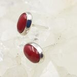 Coral Oval Stud Earrings