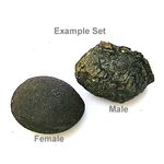 Boji Stone Pop Rock Stones