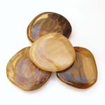 Petrified Wood Palm Stones