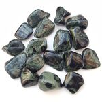 Kambaba Jasper