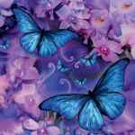 Butterfly Music Gift Card