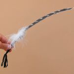 Barred Smudging Turkey Feather