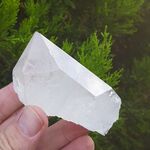 Brazilian Quartz Crystal #B8