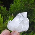Brazilian Quartz Crystal #B12