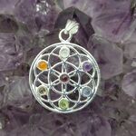 Flower of Life Chakra Mandala II Pendant SP