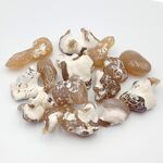 Snake Skin Jasper