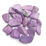Purple Stichtite