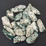 Green Tree Agate