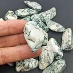 Green Tree Agate
