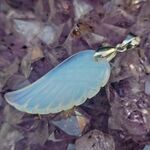 Opalite Angel Wing Pendant