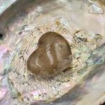 Mini Smoky Quartz Hearts