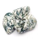 Green Tree Agate