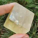 Golden Optical Calcite Rhombohedron