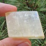 Golden Optical Calcite Rhombohedron