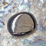 Jet Palm Stones