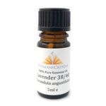 Lavender Essential Oil