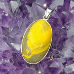 Bumble Bee Jasper Pendant