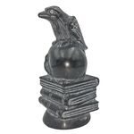 Black Obsidian Raven, Skull and Magic Book