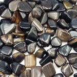 Small Dark Petrified Wood