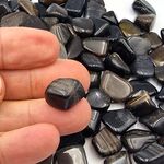 Small Dark Petrified Wood