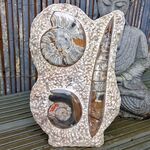 Orthoceras and Goniatites Fossil