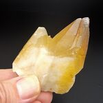 Golden Dogtooth Calcite point
