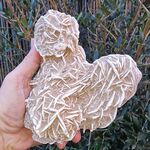 Large Desert Rose Group no1