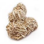 Large Desert Rose Group no1