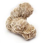 Large Desert Rose Group no1