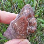 Polished Super Seven Crystal No6