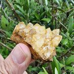 Golden Healer Crystal Group
