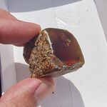Indonesian Polished Blue Amber