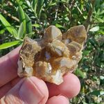 Golden Healer Crystal Group No8