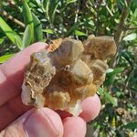 Golden Healer Crystal Group No8