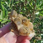 Golden Healer Crystal Group No8