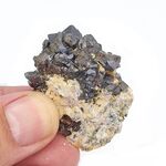 Lodestone Magnetite In Matrix