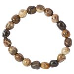Petrified Wood